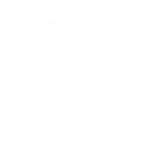 link 